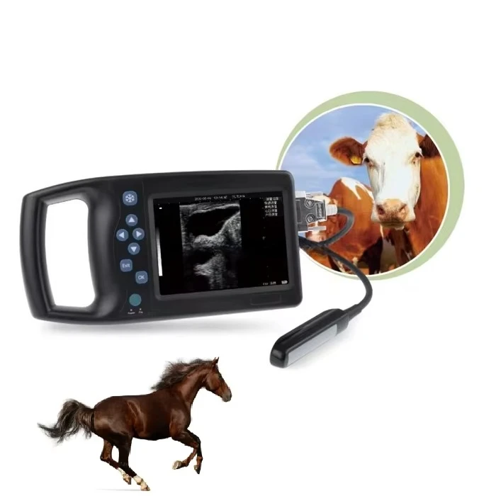Factory! Handheld Digital Equine Bovine Ovine Portable Digital Veterinary Ultrasound Equine Ultrasound For Horse
Factory! Handheld Digital Equine Bovine Ovine Portable Digital Veterinary Ultrasound Equine Ultrasound For Horse