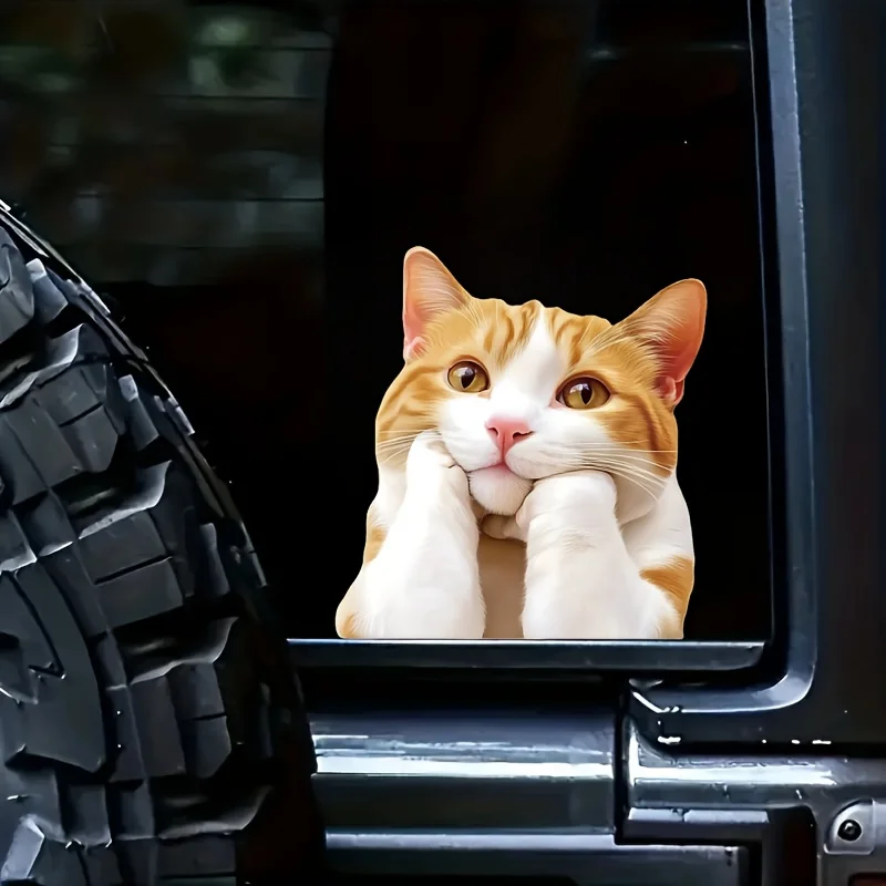 1PC Cute Cat JDM Motorcycle Stickers Waterproof for Scooter Fuel Tank Front Fairing Vinyl Decals Car Window Cartoon Decoration
1PC Cute Cat JDM Motorcycle Stickers Waterproof for Scooter Fuel Tank Front Fairing Vinyl Decals Car Window Cartoon Decoration