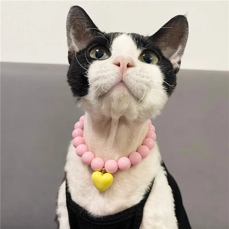 Pet Pearl Collar Dog Princess Necklace Cat Jewelry Cute Heart Collar Puppy Accessories Dog Chain Chihuahua Wedding Pet Jewelry
Pet Pearl Collar Dog Princess Necklace Cat Jewelry Cute Heart Collar Puppy Accessories Dog Chain Chihuahua Wedding Pet Jewelry