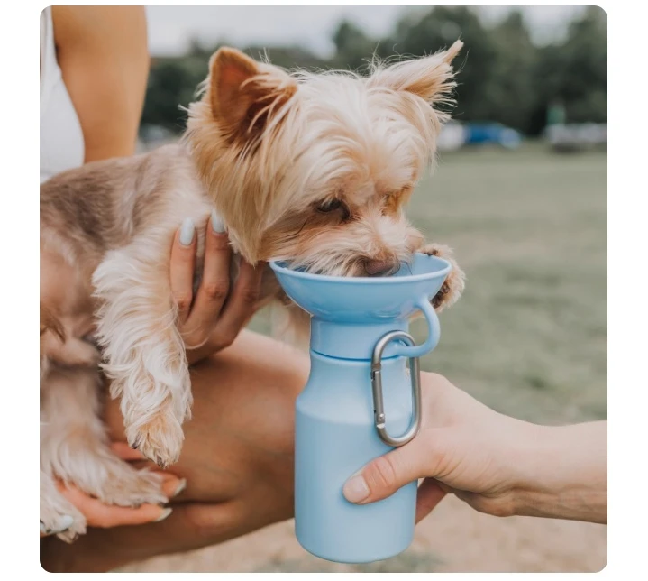 Портативная поилка для собак и кошек, дорожная чашка для воды для животных
Портативная поилка для собак и кошек, дорожная чашка для воды для животных