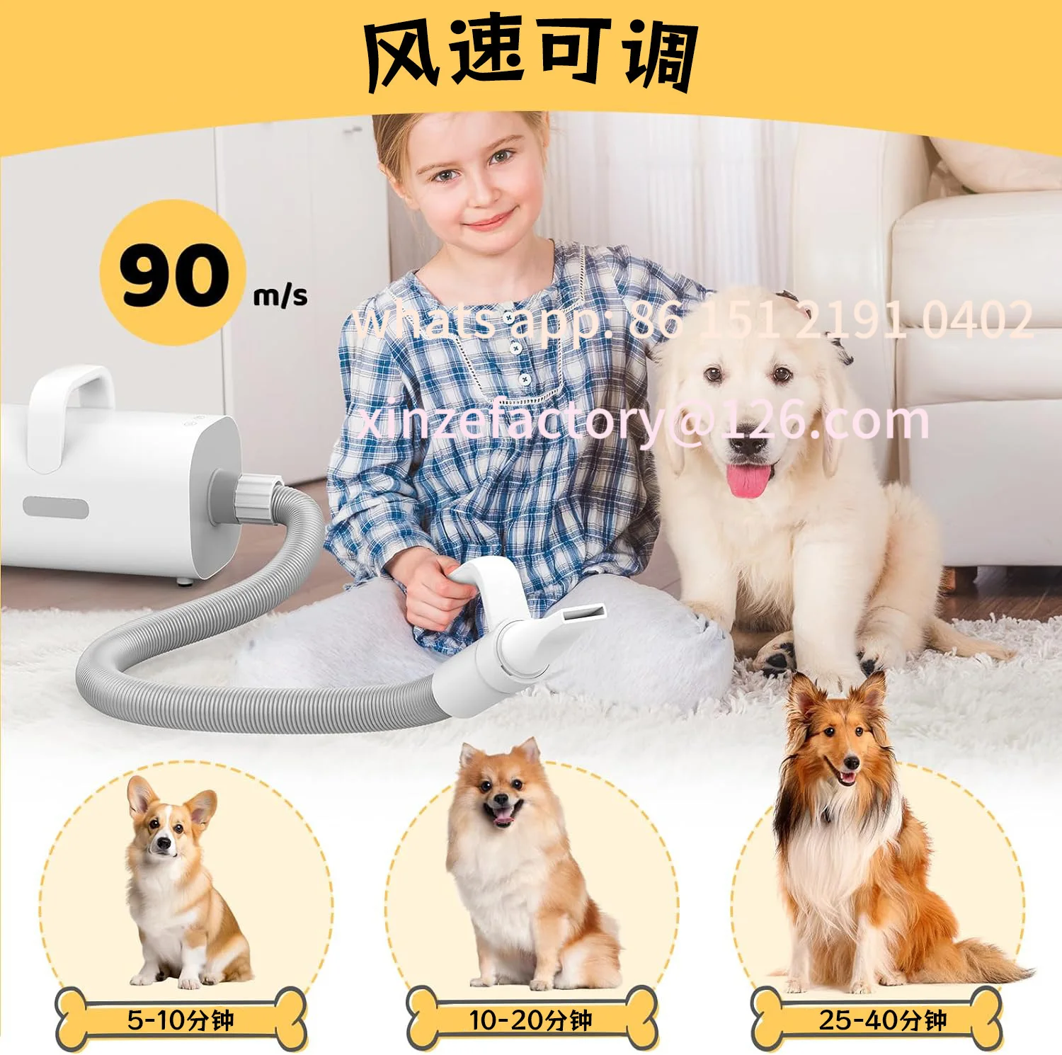 Customizable US version smart handle dog hair dryer negative ion pet hair dryer
Customizable US version smart handle dog hair dryer negative ion pet hair dryer