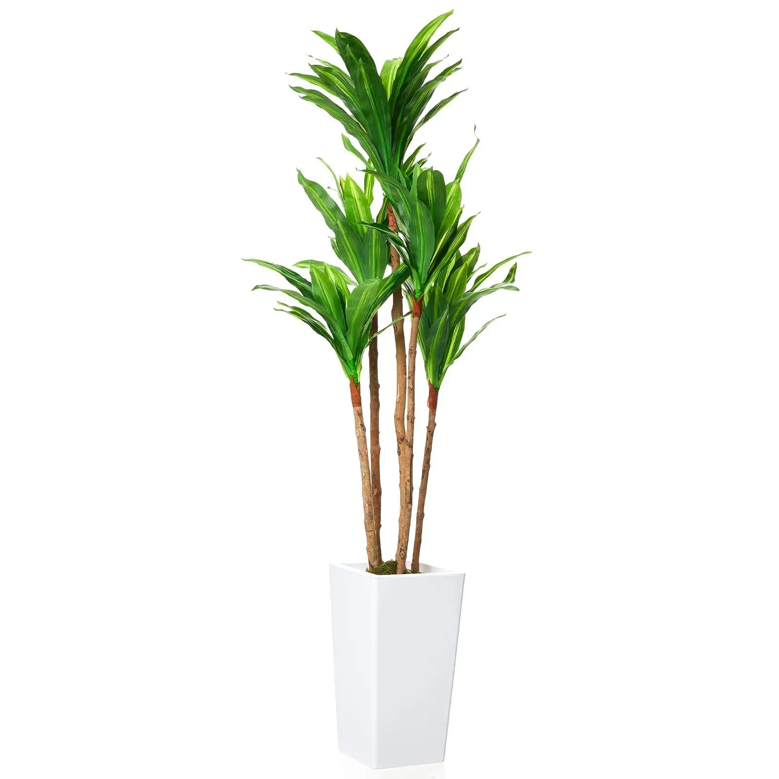 4.8ft Artificial Dracaena Tree Realistic Fake Potted Plant with Cement Base - Low-Maintenance Indoor/Outdoor Faux Tree Suitable for Home, Office, Balcony - Dracaena for Modern Decor
4.8ft Artificial Dracaena Tree Realistic Fake Potted Plant with Cement Base - Low-Maintenance Indoor/Outdoor Faux Tree Suitable for Home, Office, Balcony - Dracaena for Modern Decor