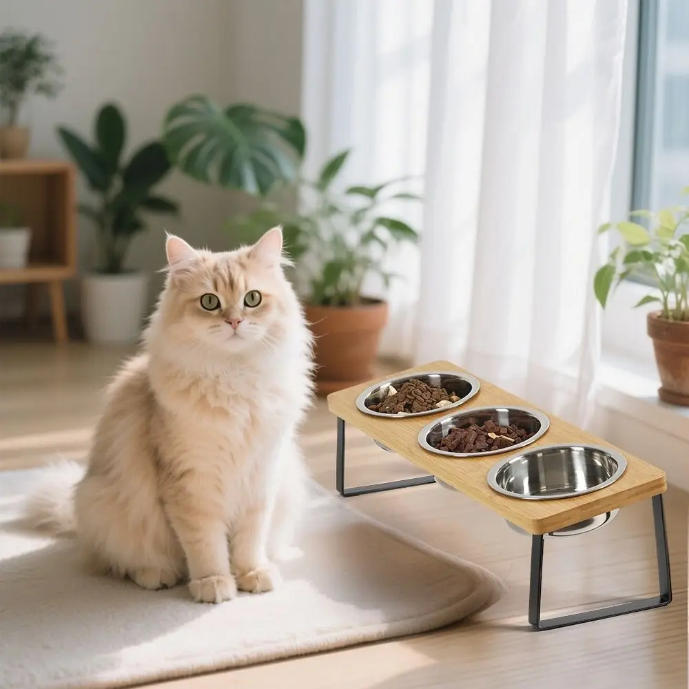 Non Slip Wood Cat Bowl Stand Anti-Leak Anti-Vomiting Elevated Pet Bowls with 3 Bowls Raised Cat Food Feeder Indoor
Non Slip Wood Cat Bowl Stand Anti-Leak Anti-Vomiting Elevated Pet Bowls with 3 Bowls Raised Cat Food Feeder Indoor