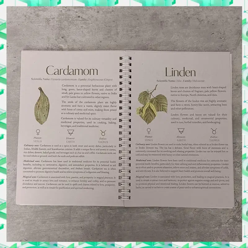 FIZP Essential Health Planner: 82 Natural Herbs For Recovery, Uncoated Paper Version, Ideal For Gifting And Personal Use
FIZP Essential Health Planner: 82 Natural Herbs For Recovery, Uncoated Paper Version, Ideal For Gifting And Personal Use