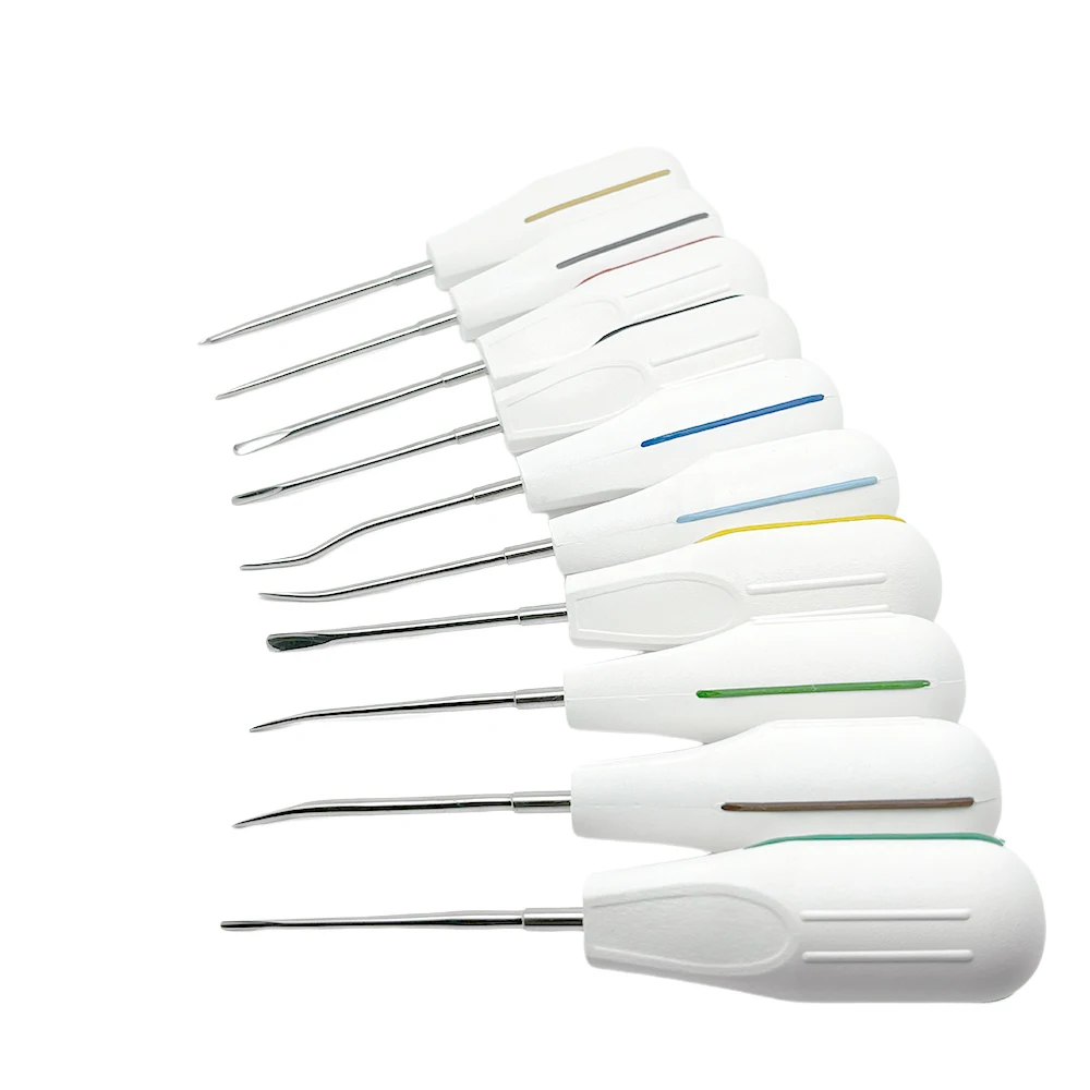 10Pcs Dental Elevator Surgical Root Instruments Luxating Elevator Tooth Extraction Tools Plastic Handle Dentistry Tools
10Pcs Dental Elevator Surgical Root Instruments Luxating Elevator Tooth Extraction Tools Plastic Handle Dentistry Tools