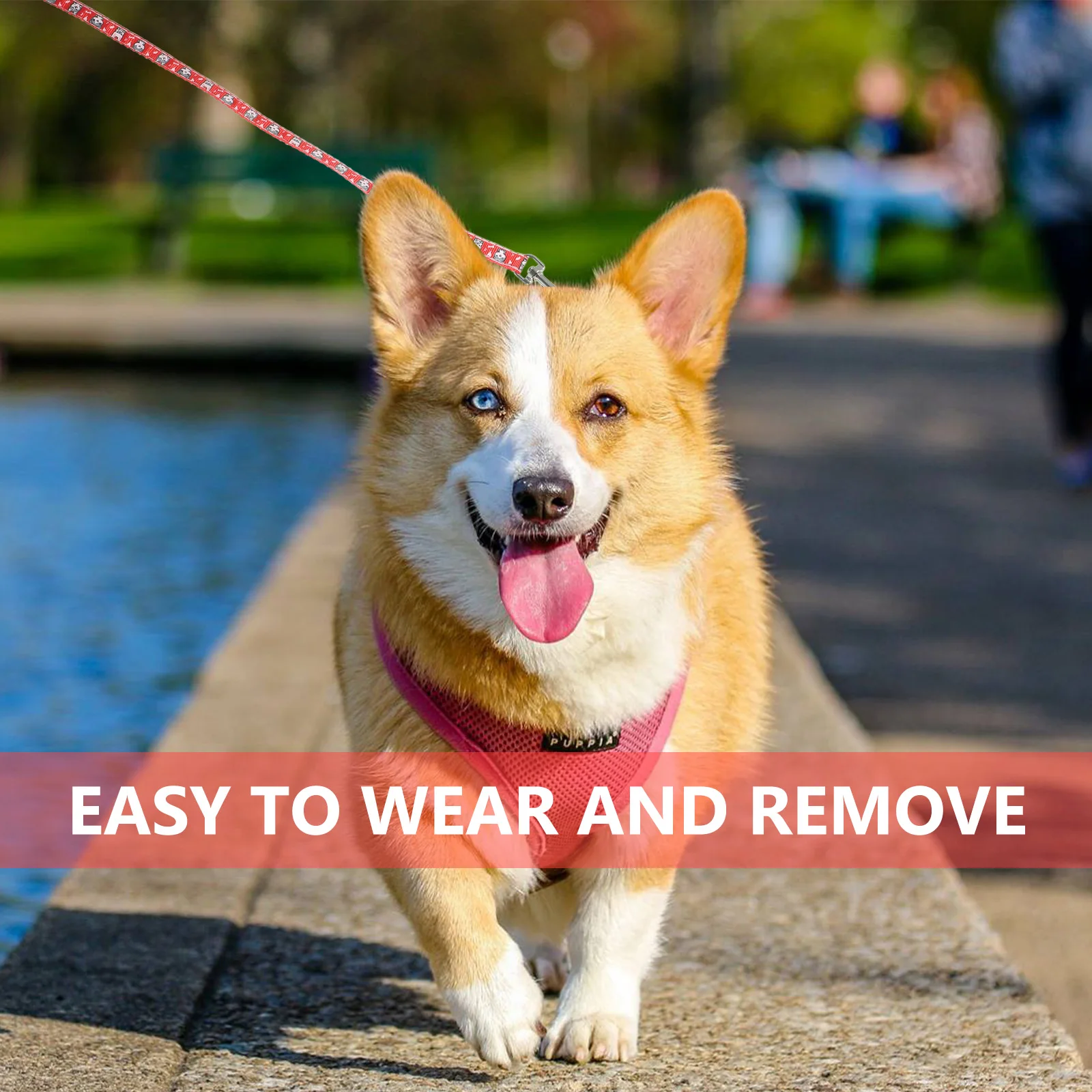 Dog Collar Traction Rope Training Leash Cats and Dogs Lead Long Polyester Obedience Recall
Dog Collar Traction Rope Training Leash Cats and Dogs Lead Long Polyester Obedience Recall
