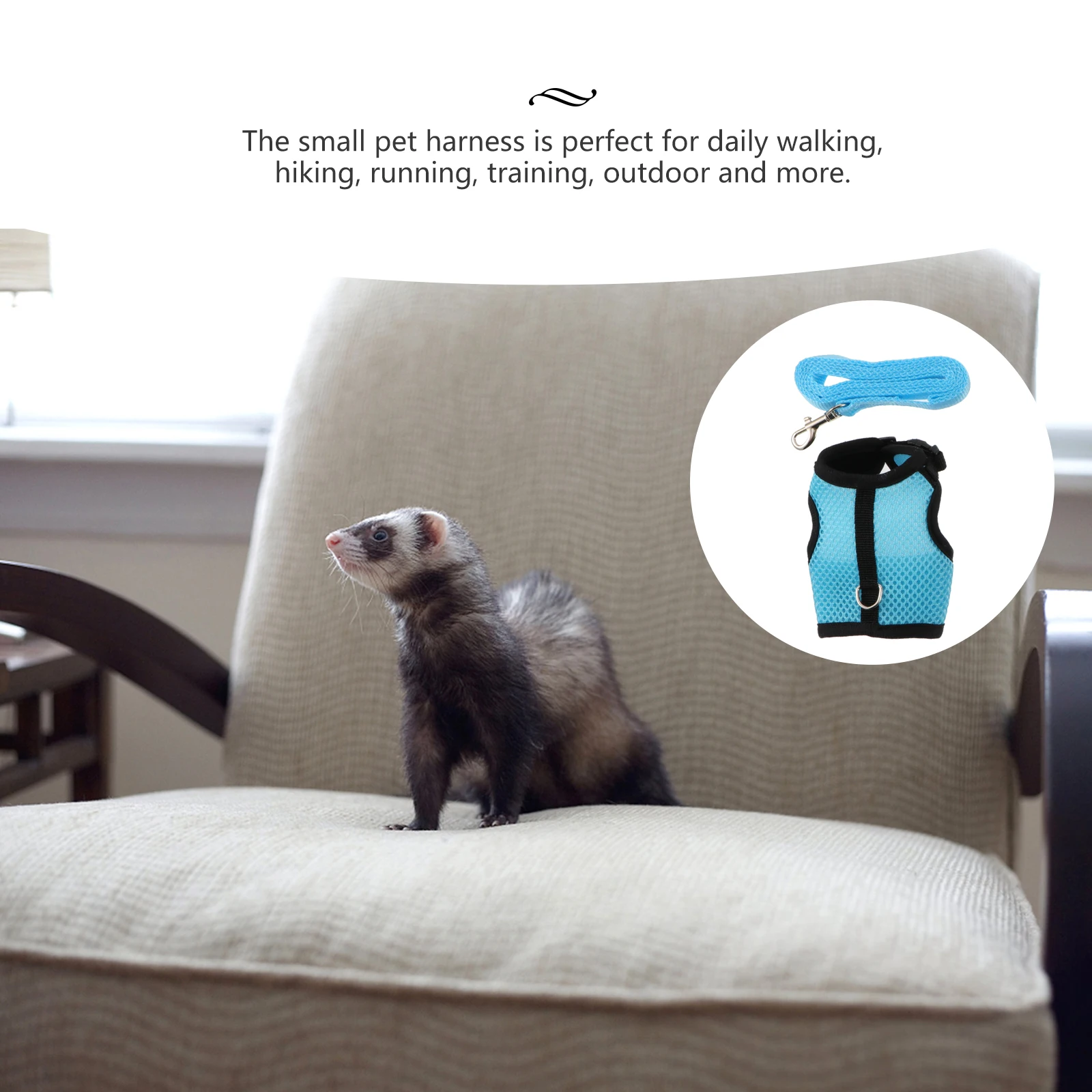 3pcs Pet Harness Leash Set For Rabbit Ferret Guinea Pig Hamster Iguana Small Animals Outdoor Walking Exercise Wedding Party Wear
3pcs Pet Harness Leash Set For Rabbit Ferret Guinea Pig Hamster Iguana Small Animals Outdoor Walking Exercise Wedding Party Wear