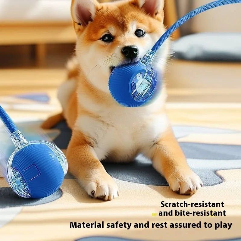 Automatic Self-Play Dog Ball Electric Chew Resistant Pet Toy Interactive Jumping Ball for Puppy Entertainment
Automatic Self-Play Dog Ball Electric Chew Resistant Pet Toy Interactive Jumping Ball for Puppy Entertainment