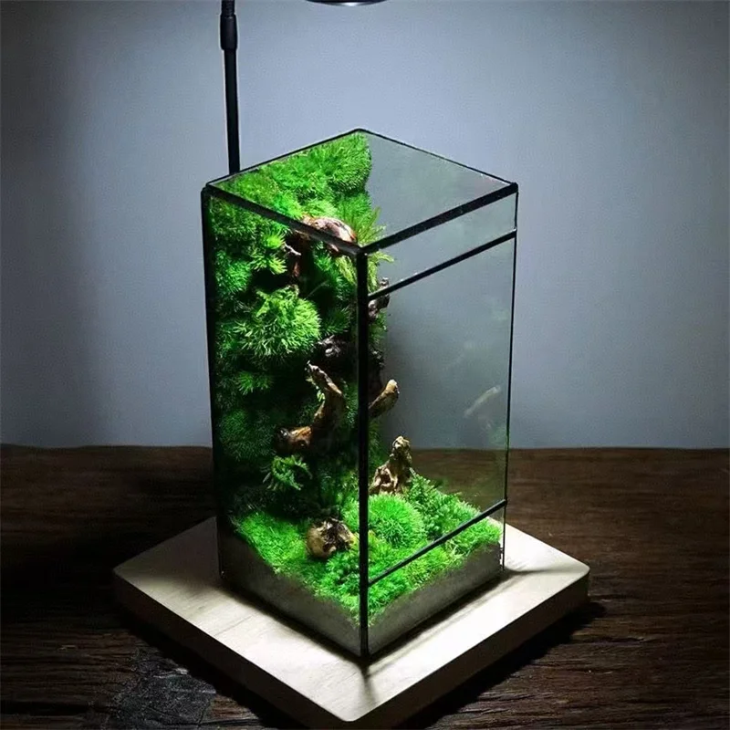 Mini Rainforest Fern Moss Ecological Square Shape Geometric Glass Terrarium Tabletop Plant Glass Vase Container Table Greenhouse
Mini Rainforest Fern Moss Ecological Square Shape Geometric Glass Terrarium Tabletop Plant Glass Vase Container Table Greenhouse