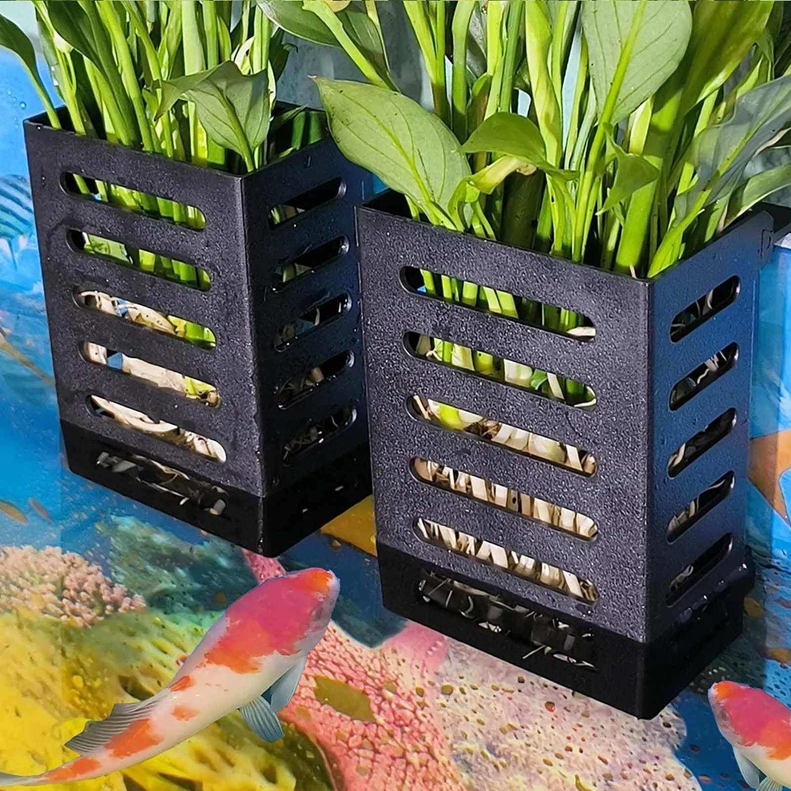 Hanging Aquarium Plant Holder Fine Workmanship Plant Holder for Providing Nutrition for Aquarium Plants
Hanging Aquarium Plant Holder Fine Workmanship Plant Holder for Providing Nutrition for Aquarium Plants