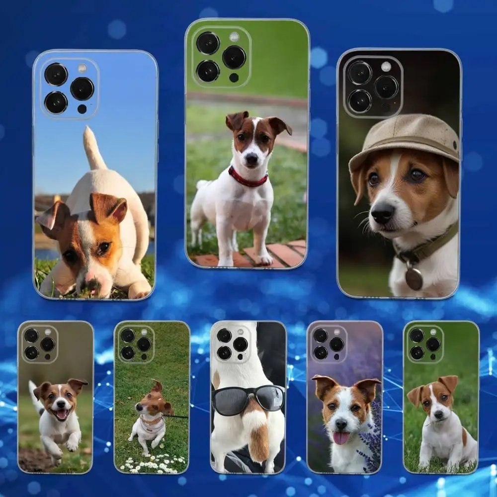 Jack Russell Terrier Dog Phone Case For iPhone 16,15,14,13,12,11 Pro,Max,Plus,X,XS,XR,SE,Mini Transparent Soft Cover
Jack Russell Terrier Dog Phone Case For iPhone 16,15,14,13,12,11 Pro,Max,Plus,X,XS,XR,SE,Mini Transparent Soft Cover