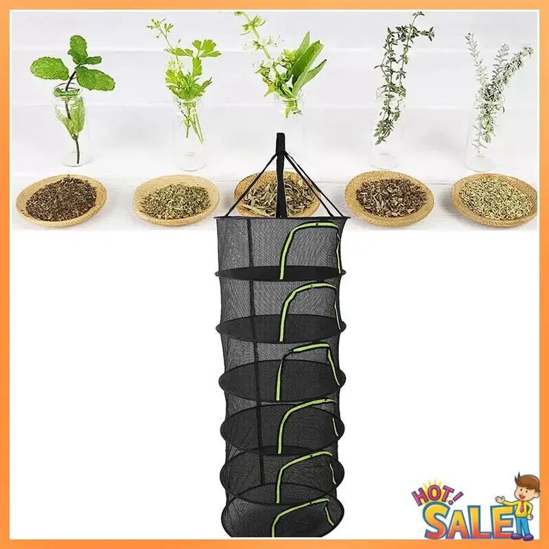 AB68 Folding Dry Rack Drying Net For Herbs Hanging Basket Dryer Bag Mesh Herb Drying Net For Flowers Buds Plants
AB68 Folding Dry Rack Drying Net For Herbs Hanging Basket Dryer Bag Mesh Herb Drying Net For Flowers Buds Plants