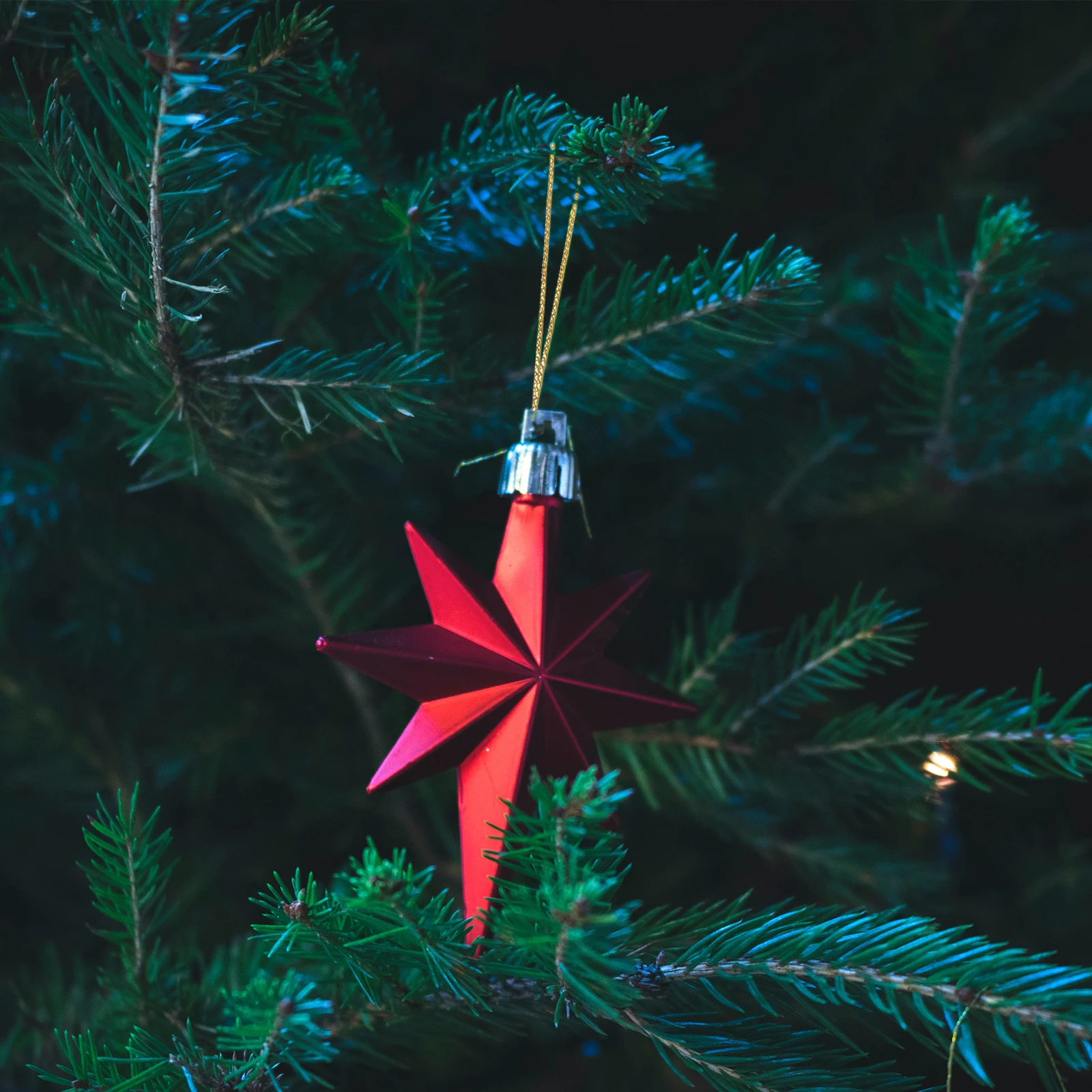 Christmas nament Rope Polyester Hanging Tags Tree Pendant Ropes Ball Fasteners Precut Ropes Party Decorations
Christmas nament Rope Polyester Hanging Tags Tree Pendant Ropes Ball Fasteners Precut Ropes Party Decorations