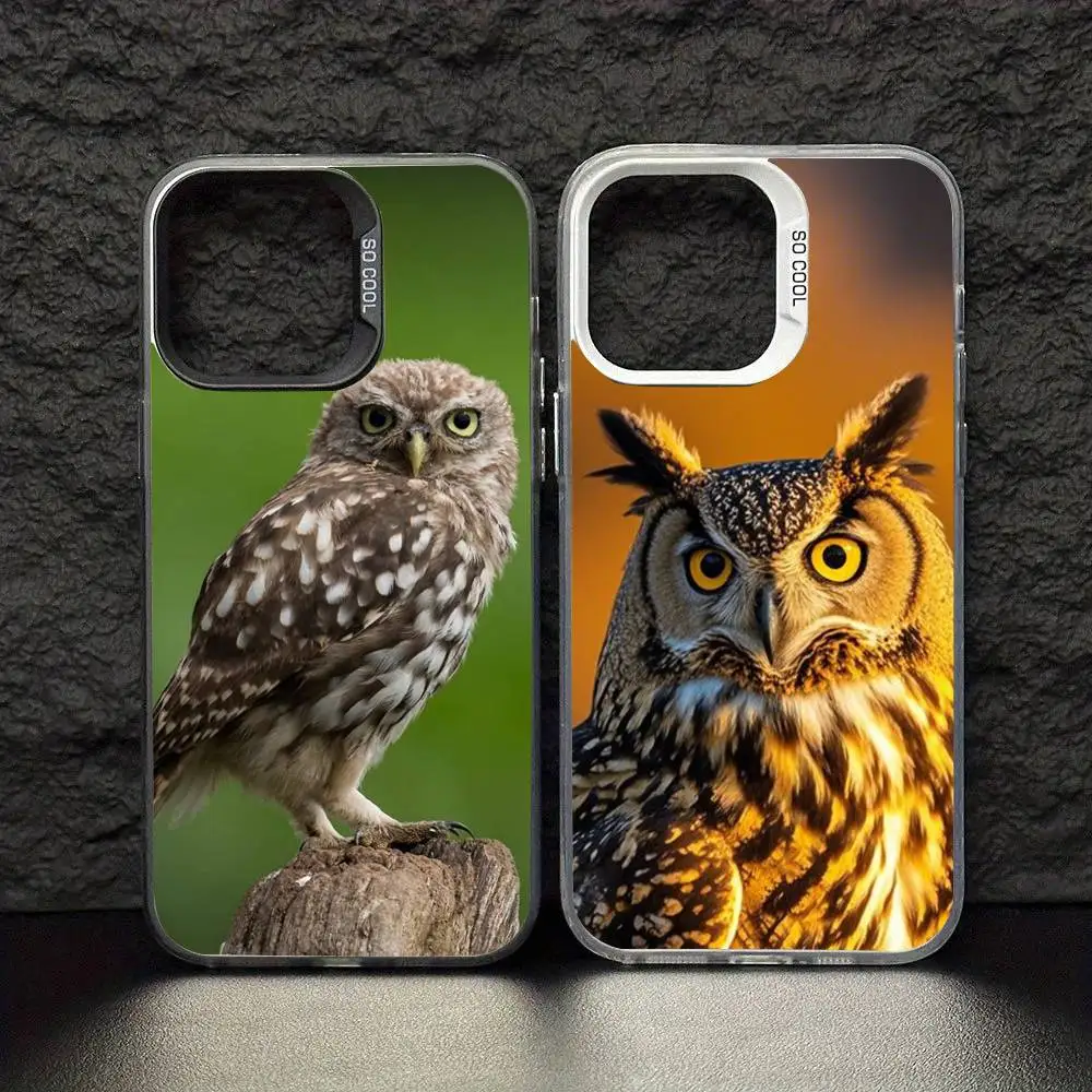 Owl Phone Case For iPhone17,16,15,14,13,12,11 Pro Max Blcak Colorful Silver Plated Inside Phone Case
Owl Phone Case For iPhone17,16,15,14,13,12,11 Pro Max Blcak Colorful Silver Plated Inside Phone Case