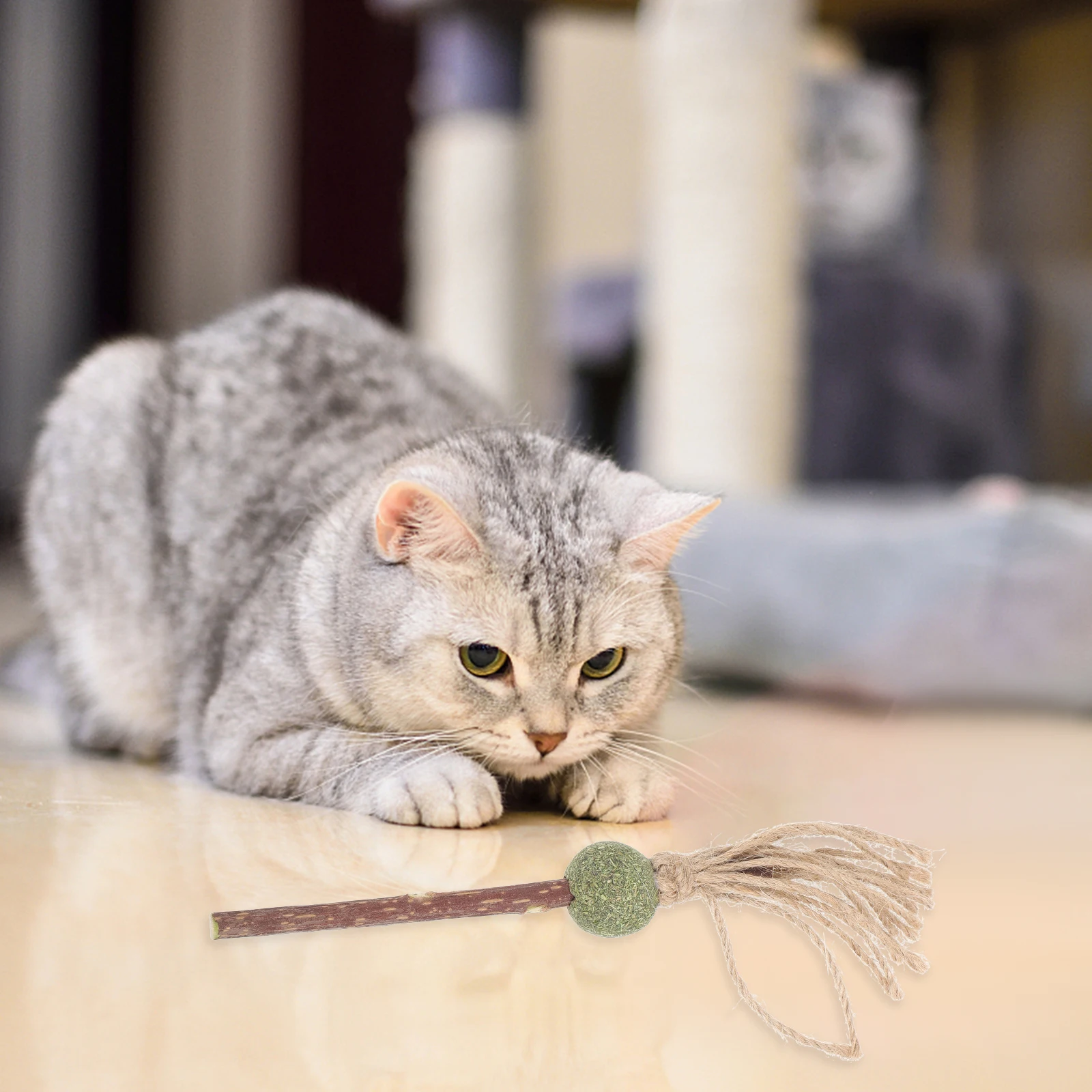 4pcs Cat Teaser Molar Chew Toy Natural Wooden Kitten Teething Exercise Stress Relief Dental Cleaning Pet Toy for Cats
4pcs Cat Teaser Molar Chew Toy Natural Wooden Kitten Teething Exercise Stress Relief Dental Cleaning Pet Toy for Cats
