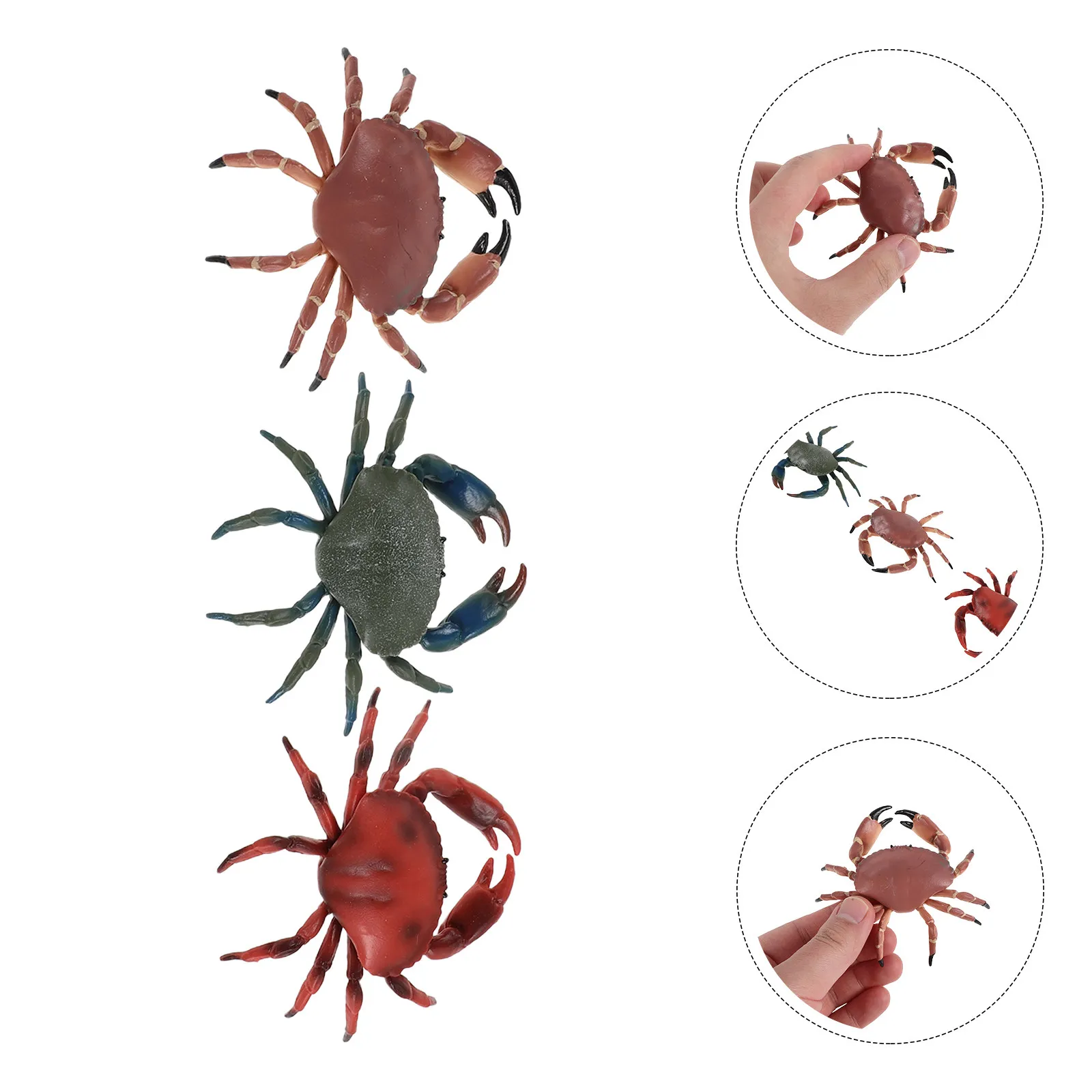3Pcs Realistic Plastic Crab Decorations Lifelike Marine Animal Figures for Educational Play Classroom Aquarium Decor Crab Photo
3Pcs Realistic Plastic Crab Decorations Lifelike Marine Animal Figures for Educational Play Classroom Aquarium Decor Crab Photo