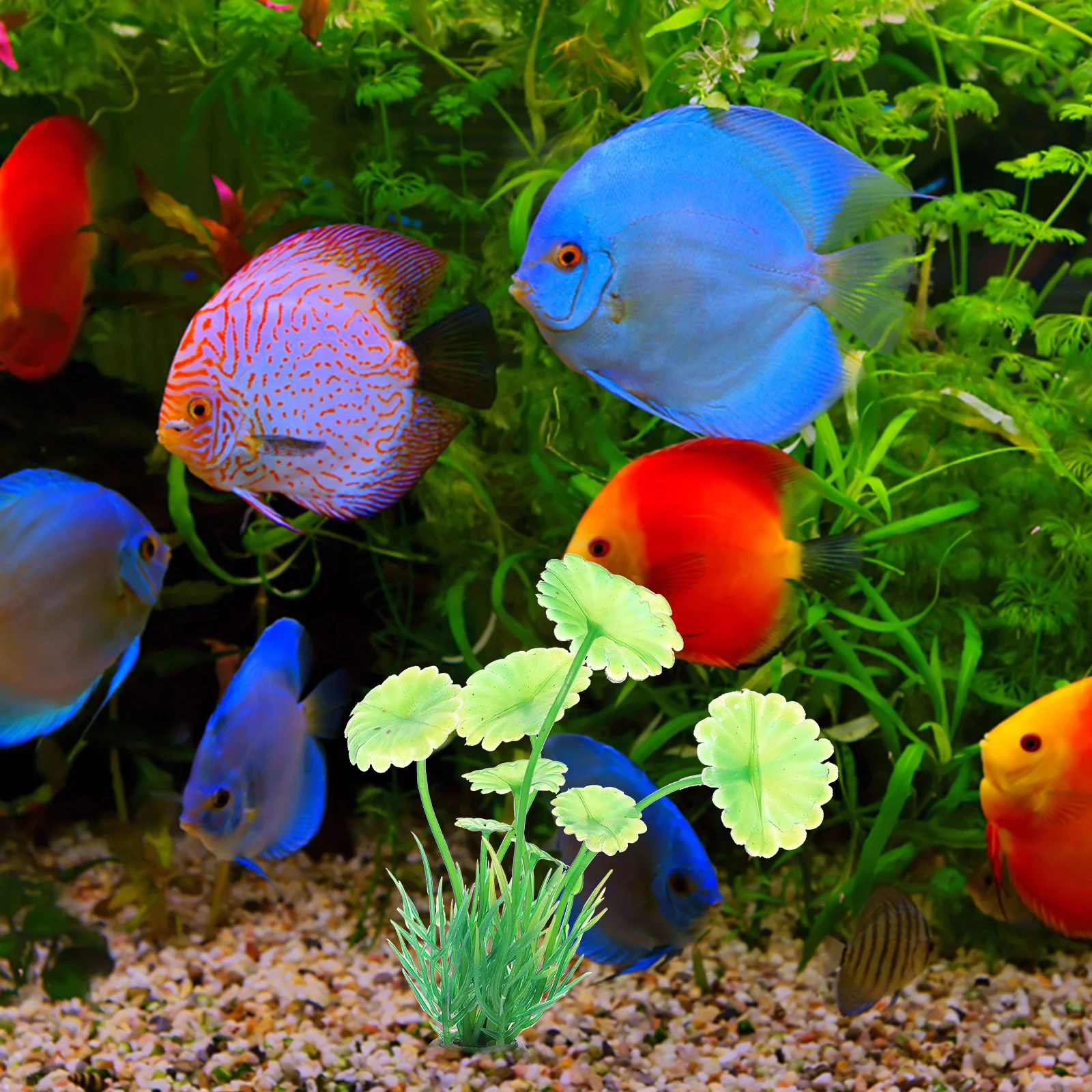 10pcs Artificial Aquarium Plants Decorative Landscape Grass for Fish Tank DIY Underwater Supplies Plastic Home Decor
10pcs Artificial Aquarium Plants Decorative Landscape Grass for Fish Tank DIY Underwater Supplies Plastic Home Decor