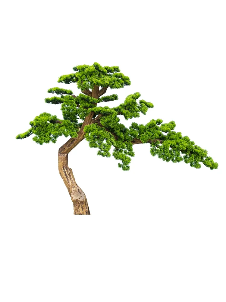 Украшение из искусственной сосновой лестницы, новый китайский ландшафт для внутреннего и наружного ландшафта
Украшение из искусственной сосновой лестницы, новый китайский ландшафт для внутреннего и наружного ландшафта