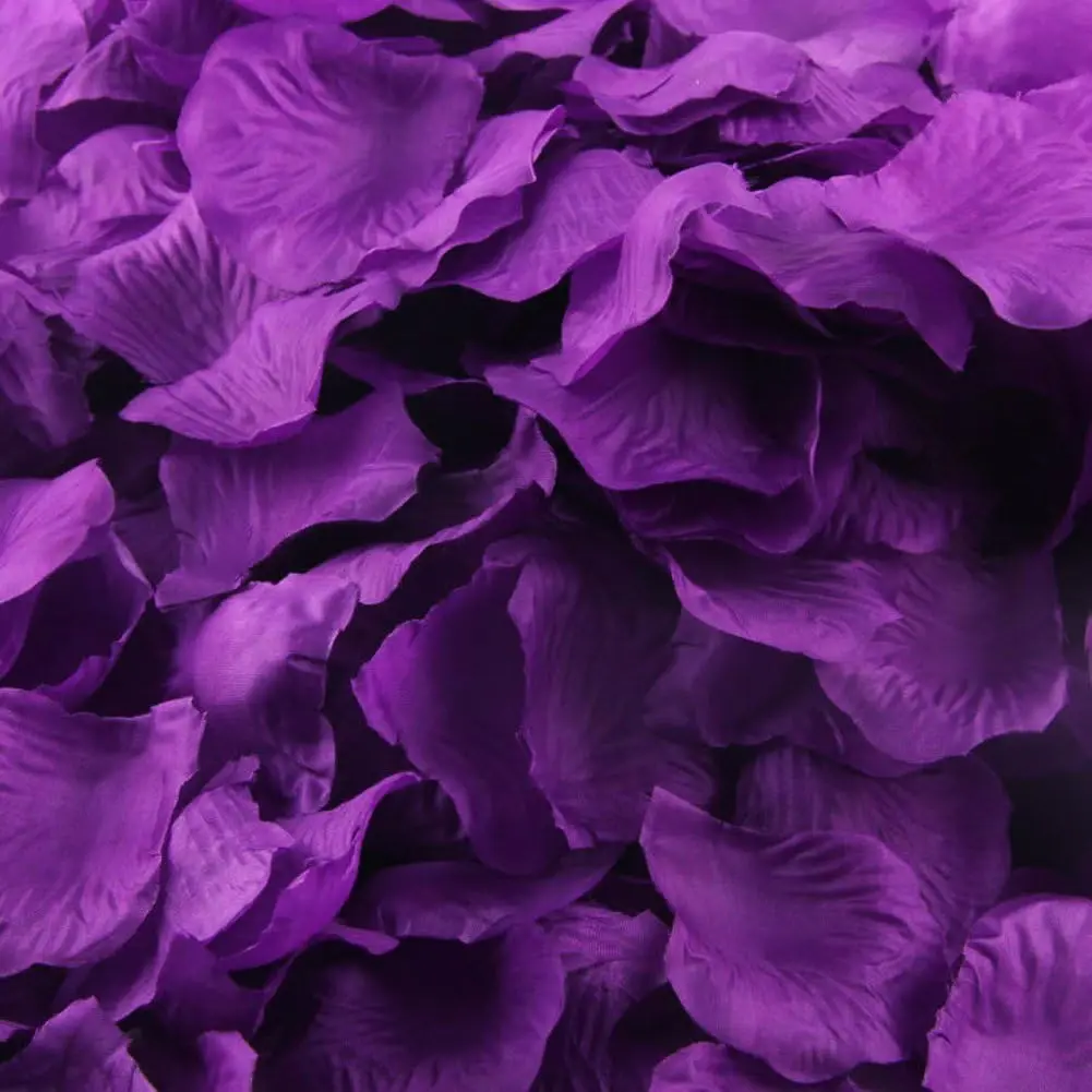 1000pcs Silk Rose Petals Artificial Flowers for Wedding Party Vase Decor Confetti Dark Purple
1000pcs Silk Rose Petals Artificial Flowers for Wedding Party Vase Decor Confetti Dark Purple