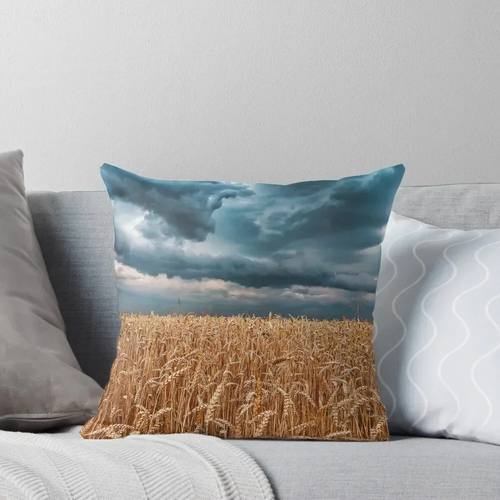wheat field stormy sky Throw Pillow Couch Cushions Decorative Cover For Living Room Pillow Case pillow
wheat field stormy sky Throw Pillow Couch Cushions Decorative Cover For Living Room Pillow Case pillow