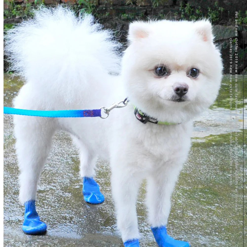 4Pcs Waterproof Dog Shoes Durable Non Slip Boot Covers Outdoor Paw Protection Blue Size M Pet Shoes Dog
4Pcs Waterproof Dog Shoes Durable Non Slip Boot Covers Outdoor Paw Protection Blue Size M Pet Shoes Dog