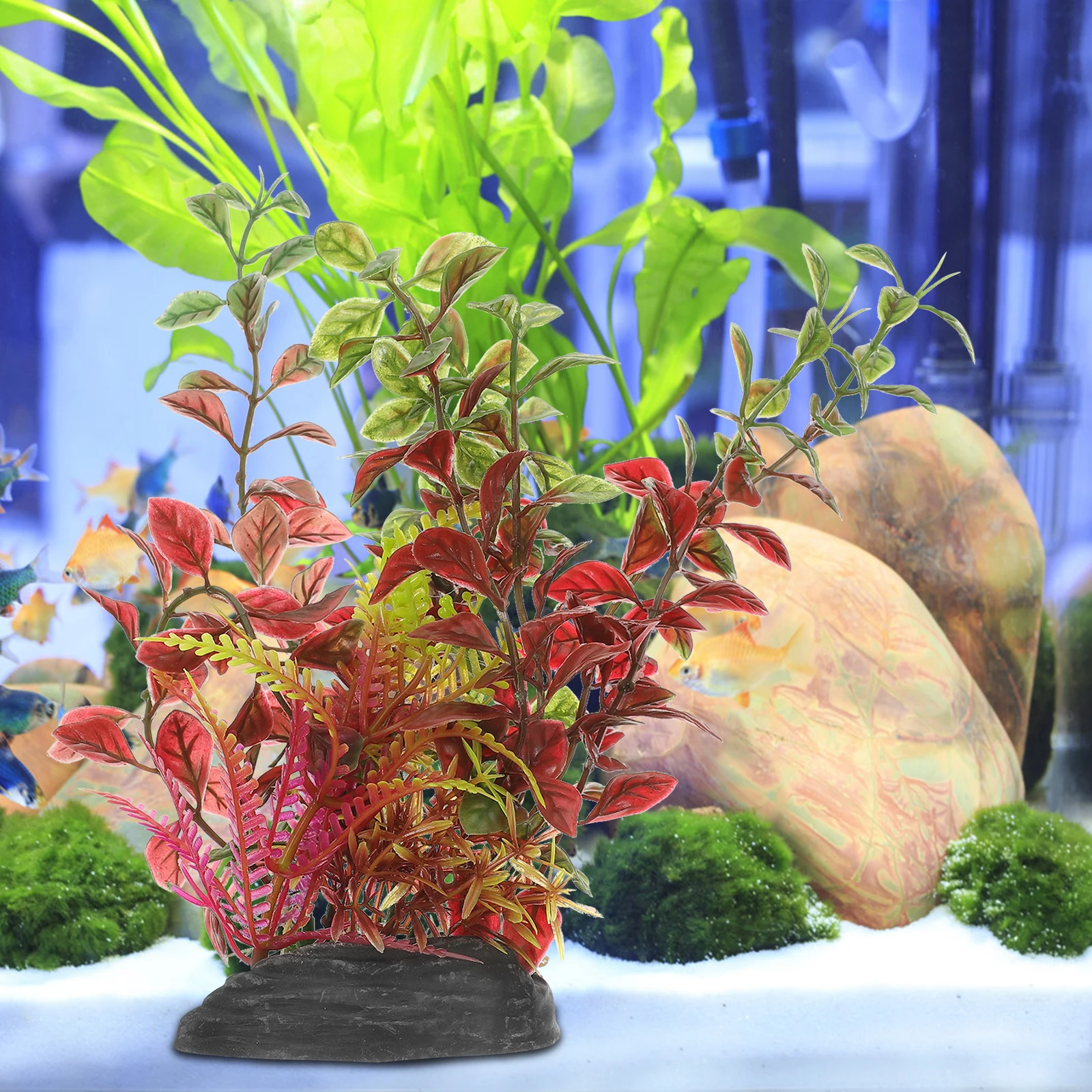Faux Plant Aquatic Decoration Aquarium Plants for Fish Tank Realistic Artificial Plastic Grass Reptile Cage Accessory Fish Tank
Faux Plant Aquatic Decoration Aquarium Plants for Fish Tank Realistic Artificial Plastic Grass Reptile Cage Accessory Fish Tank