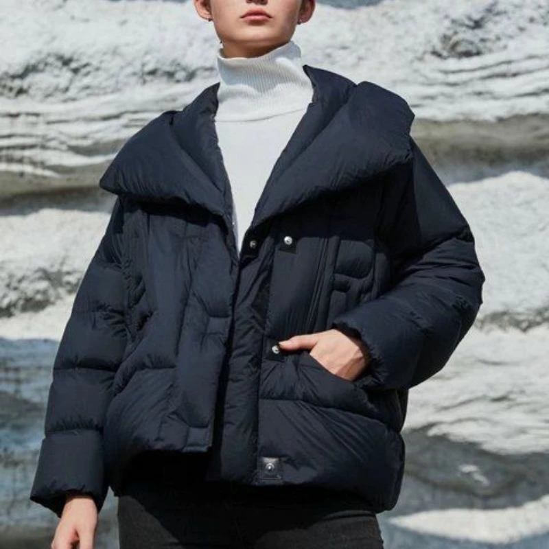 Women's Thick Warm Short Down Coats, Casual Jackets, Large Lapel, Korean Simple Outerwear, Stylish, Winter, New
Women's Thick Warm Short Down Coats, Casual Jackets, Large Lapel, Korean Simple Outerwear, Stylish, Winter, New