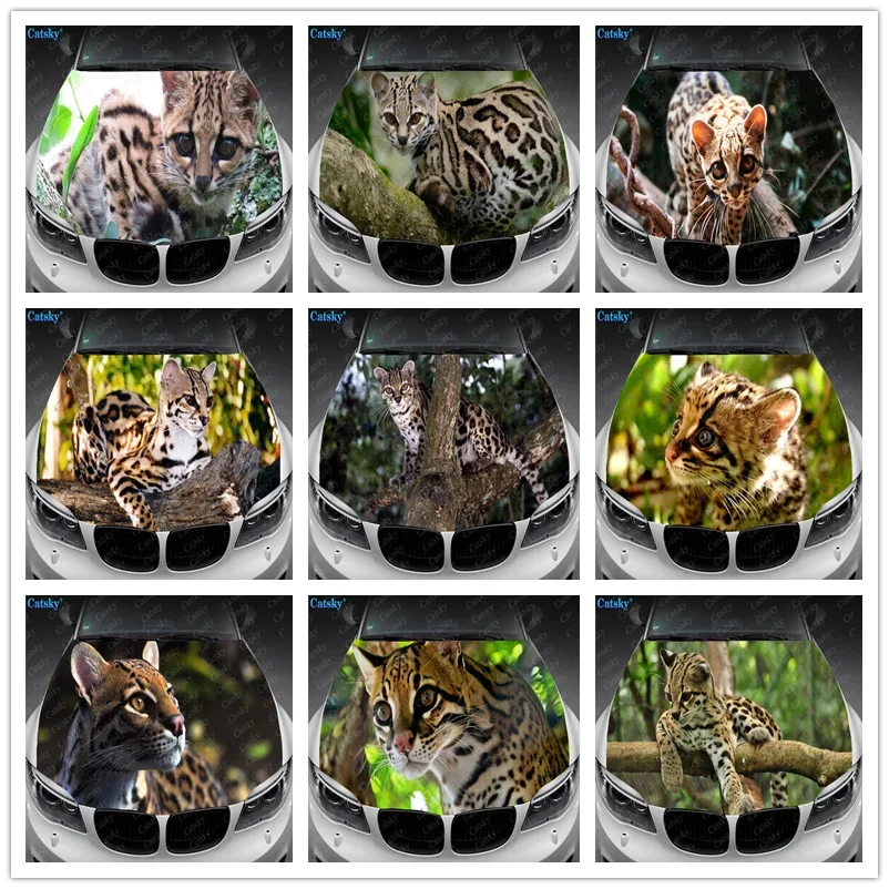 Animal Margay Car Decal Car Hood Wrap Decal Vinyl Sticker Full Color Graphic Car Hood Wrap Decal Vinyl Stickers
Animal Margay Car Decal Car Hood Wrap Decal Vinyl Sticker Full Color Graphic Car Hood Wrap Decal Vinyl Stickers