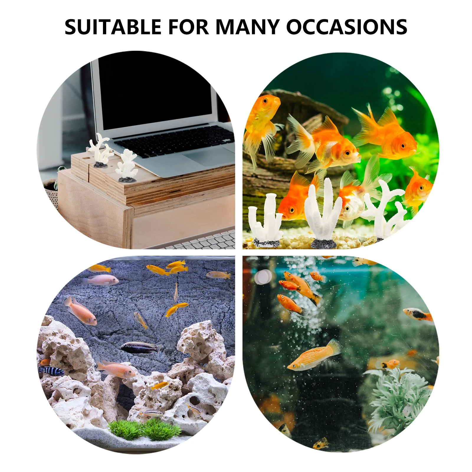 5pcs White Coral Tree Decoration for Aquarium Fish +8+9+10+13cm Artificial Coral Fish Tank Accessories Pet Supplies
5pcs White Coral Tree Decoration for Aquarium Fish +8+9+10+13cm Artificial Coral Fish Tank Accessories Pet Supplies