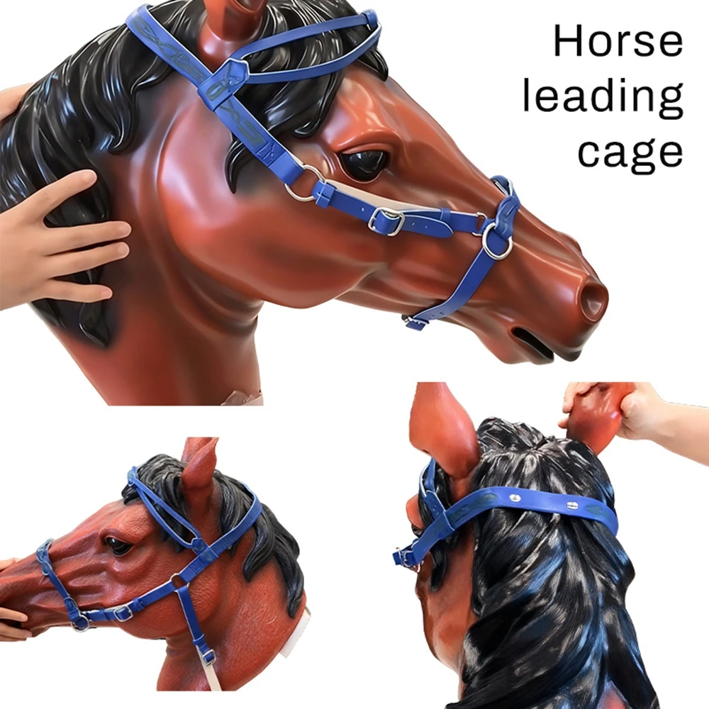 Холтеры из искусственной кожи с уздечкой лошади, удобные защитные ремни из конской кожи, регулируемая прочная занавеска с головой лошади
Холтеры из искусственной кожи с уздечкой лошади, удобные защитные ремни из конской кожи, регулируемая прочная занавеска с головой лошади