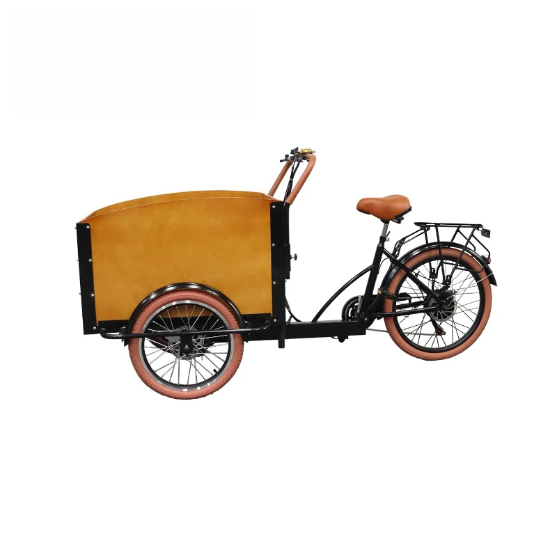 Cargo bike European pet bike transfer baby walking backwards donkey tricycle
Cargo bike European pet bike transfer baby walking backwards donkey tricycle