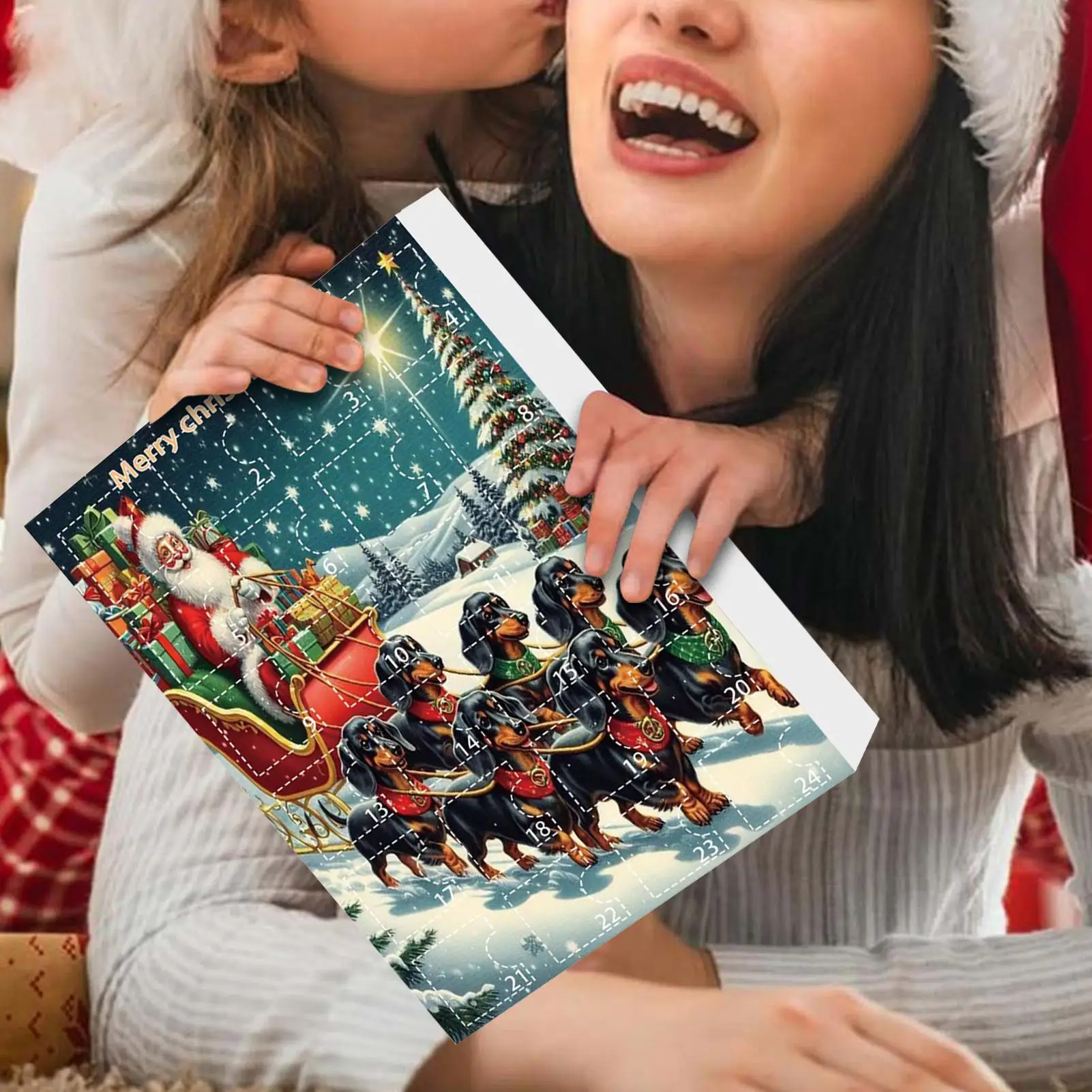 Рождественский календарь с подвеской в виде таксы, 2D 24 шт., рождественские украшения обратного отсчета, украшения для дома для праздника, школы на День Благодарения
Рождественский календарь с подвеской в виде таксы, 2D 24 шт., рождественские украшения обратного отсчета, украшения для дома для праздника, школы на День Благодарения