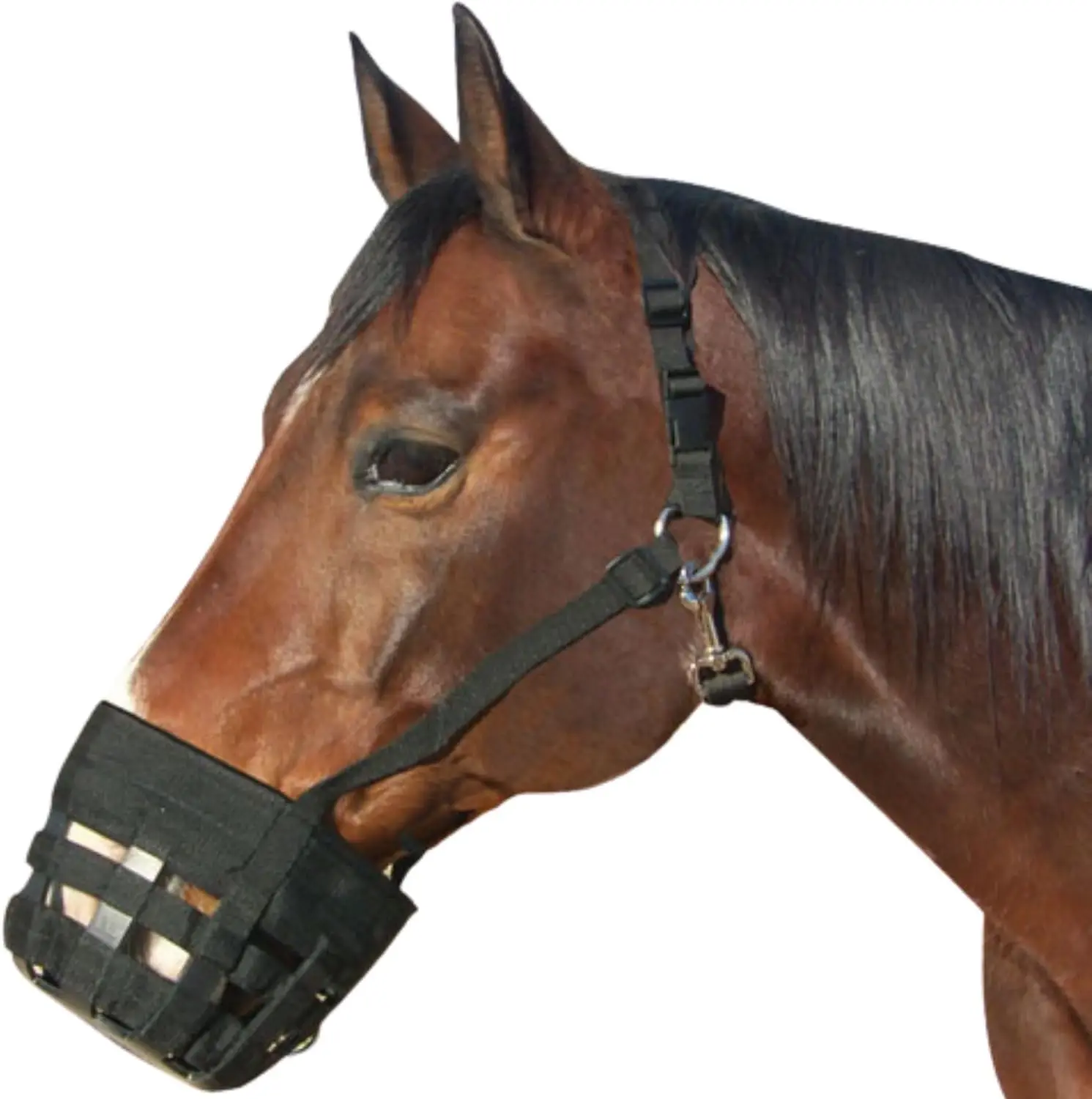 Horse Grazing Muzzle with Halter - Ventilated, Lightweight Neoprene, Padded Noseband, Control Food Intake
Horse Grazing Muzzle with Halter - Ventilated, Lightweight Neoprene, Padded Noseband, Control Food Intake