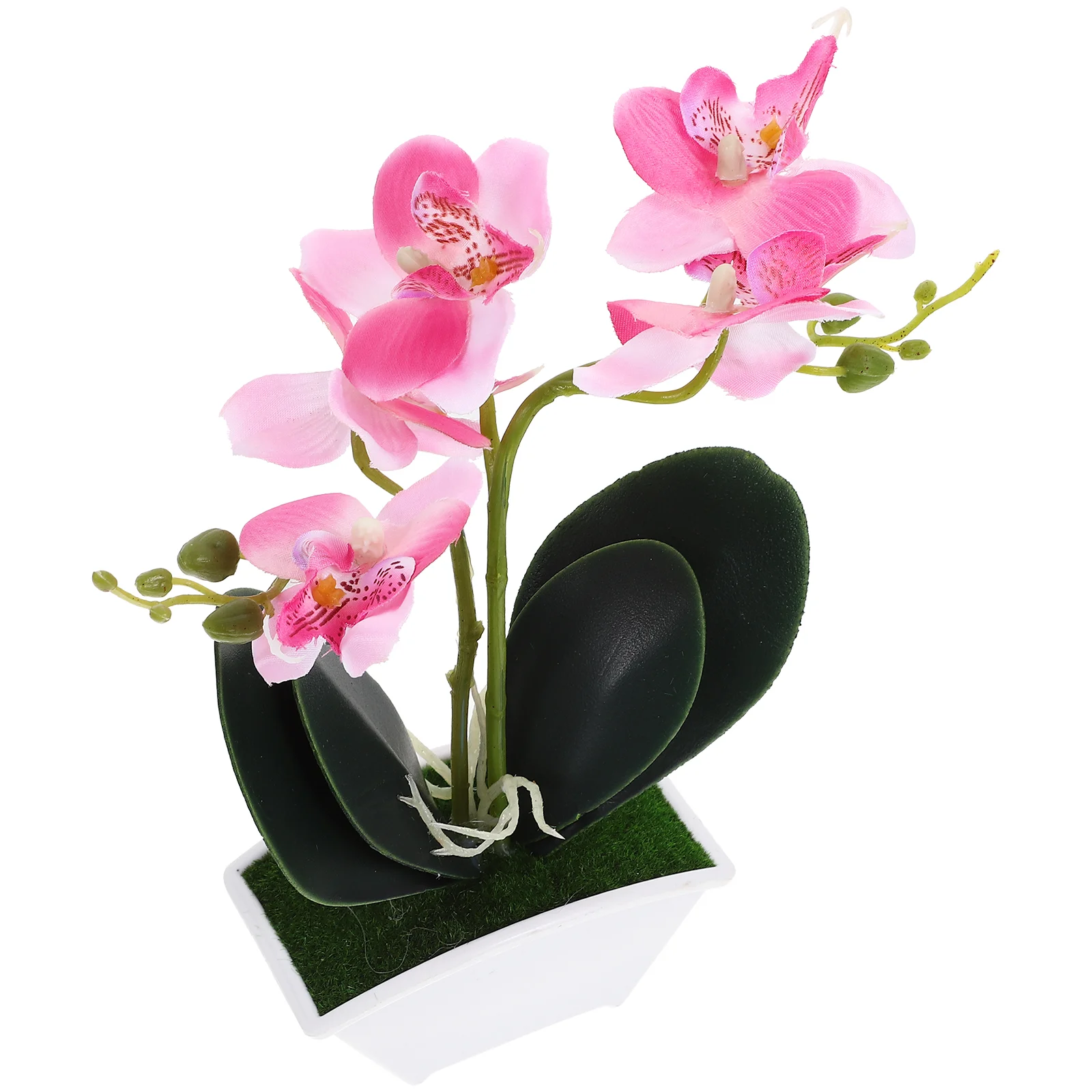 Bonsai Fruit Tree Spring Decorations for Home Orchid Bathroom Fake Orchids Artificial Potted Plant Pots Faux Plants Indoor
Bonsai Fruit Tree Spring Decorations for Home Orchid Bathroom Fake Orchids Artificial Potted Plant Pots Faux Plants Indoor