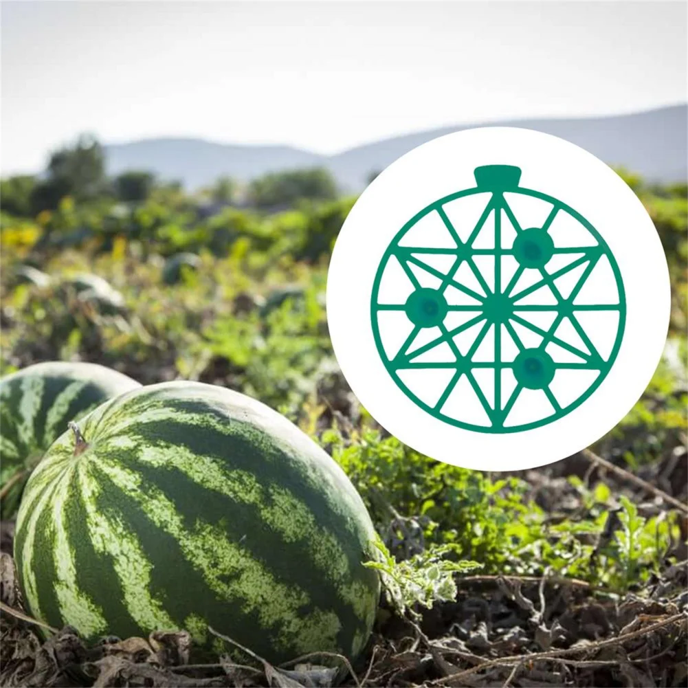10pcs Watermelon Holder Support Stand Lightweight Corrosion-resistant Garden Planting Tools For Melons Vegetable Fruit
10pcs Watermelon Holder Support Stand Lightweight Corrosion-resistant Garden Planting Tools For Melons Vegetable Fruit