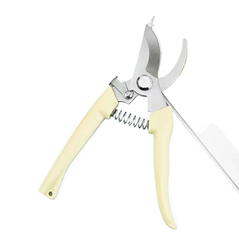 Multifunctional Garden Pruning Shears Durable Stainless Steel Flower Fruit Branch Trimmer
Multifunctional Garden Pruning Shears Durable Stainless Steel Flower Fruit Branch Trimmer