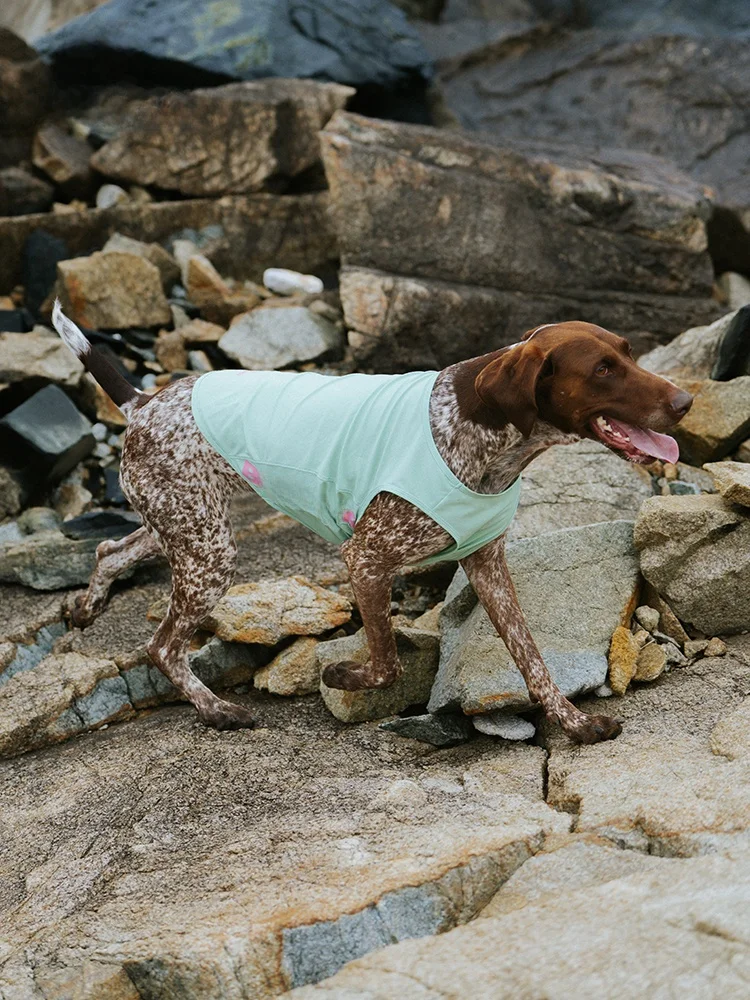 BlackDoggy Ice Silk Dog Vest Lightweight Breathable Quick Dry Outdoor Dog Clothing Spring Summer Collection Doggy Sportswear
BlackDoggy Ice Silk Dog Vest Lightweight Breathable Quick Dry Outdoor Dog Clothing Spring Summer Collection Doggy Sportswear