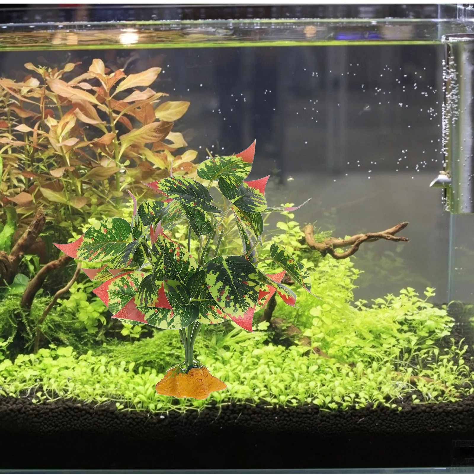 Realistic Artificial Plants for Terrariums Fish Tanks Reptile Tank Decor High Realism ABS Material Durable Easy Maintenance
Realistic Artificial Plants for Terrariums Fish Tanks Reptile Tank Decor High Realism ABS Material Durable Easy Maintenance