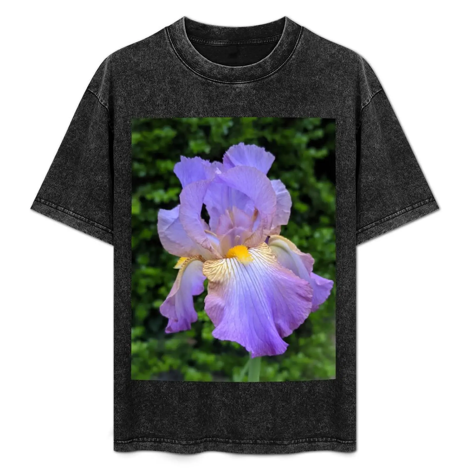 Purple Iris Photographic Image T-Shirt essential t shirt shirts graphic tees quick drying mens t shirts pack
Purple Iris Photographic Image T-Shirt essential t shirt shirts graphic tees quick drying mens t shirts pack