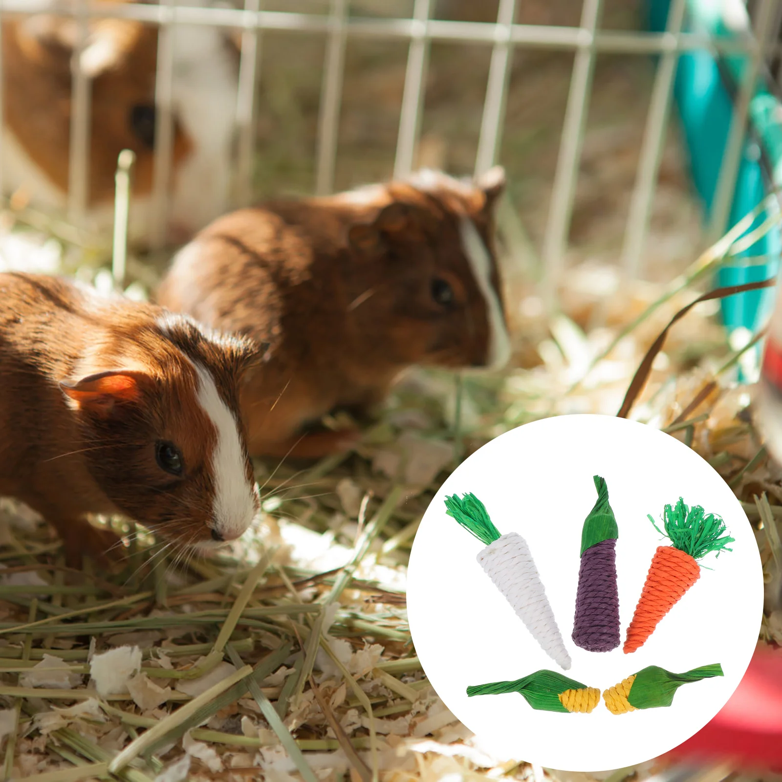 5 PCS Chinchilla Rabbit Teething Stick Toy Guinea Accessories Cotton Rope Small Animal Chew Bunny Bite Plaything
5 PCS Chinchilla Rabbit Teething Stick Toy Guinea Accessories Cotton Rope Small Animal Chew Bunny Bite Plaything