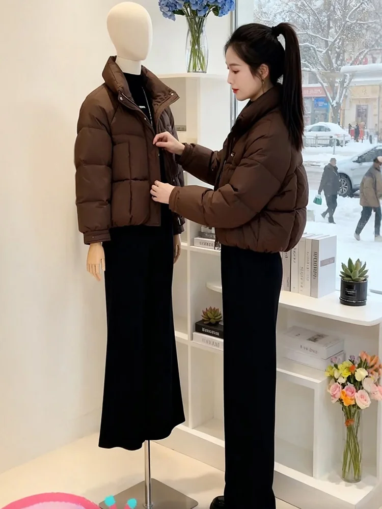 Зимняя утепленная коричневая пуховая куртка на молнии, хлопковая верхняя одежда, женское пальто, свободный крой, длинный рукав, воротник-стойка
Зимняя утепленная коричневая пуховая куртка на молнии, хлопковая верхняя одежда, женское пальто, свободный крой, длинный рукав, воротник-стойка