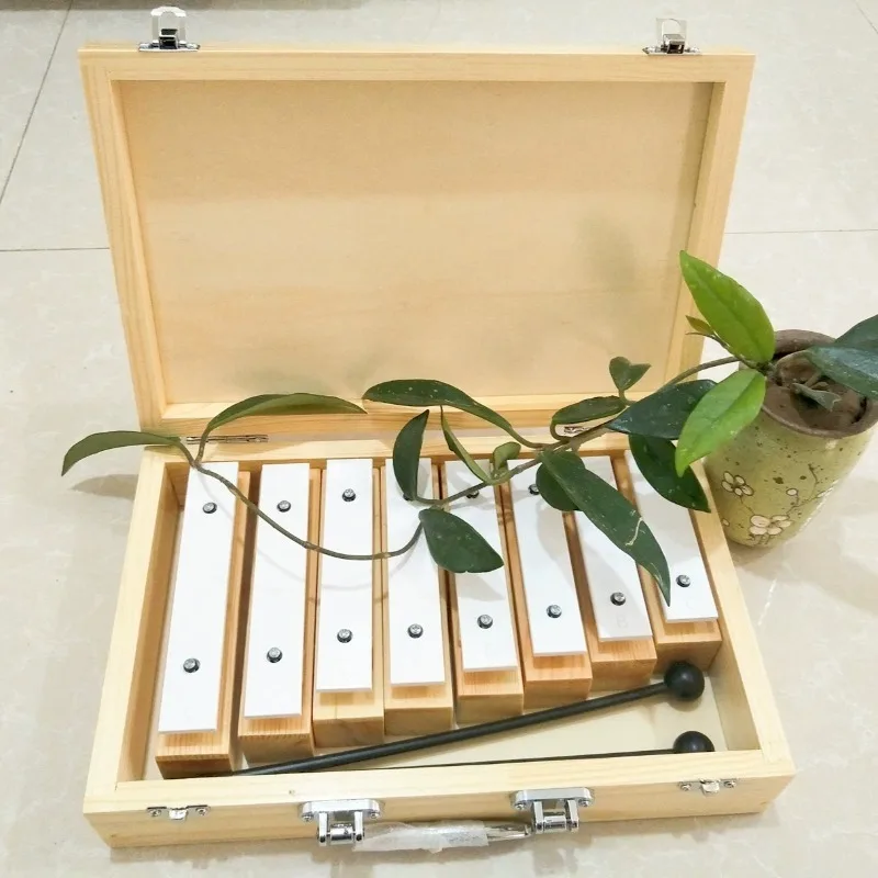 8 Tone Sound Brick with Wooden Box Professional Glockenspiels Children Meditation Celesta Orff Metalofone Musical Instrument
8 Tone Sound Brick with Wooden Box Professional Glockenspiels Children Meditation Celesta Orff Metalofone Musical Instrument