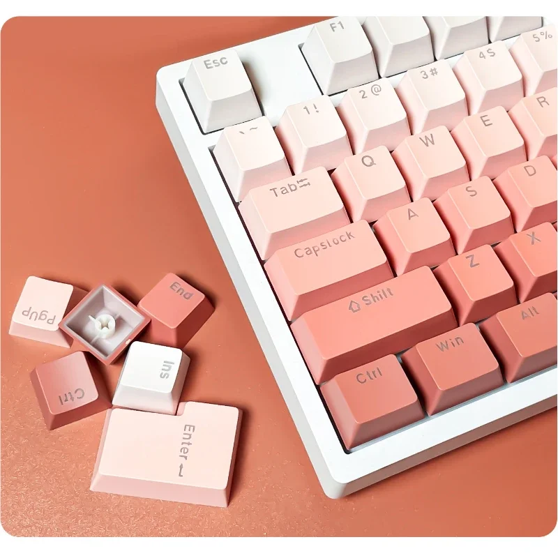 Keycap Set Front Engraved Translucent Gradient 134 Key Caps OEM for Mechanical Keyboards 61 68 75 84 87 89 96 98 100 104 108
Keycap Set Front Engraved Translucent Gradient 134 Key Caps OEM for Mechanical Keyboards 61 68 75 84 87 89 96 98 100 104 108