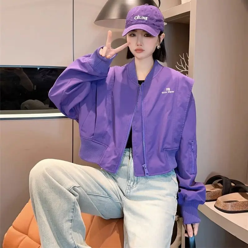 Spring Autumn Bomber Jacket for Women Loose Short Baseball Aviator Coat Woman Purple Vintage Pretty New in Outerwears Fashion
Spring Autumn Bomber Jacket for Women Loose Short Baseball Aviator Coat Woman Purple Vintage Pretty New in Outerwears Fashion