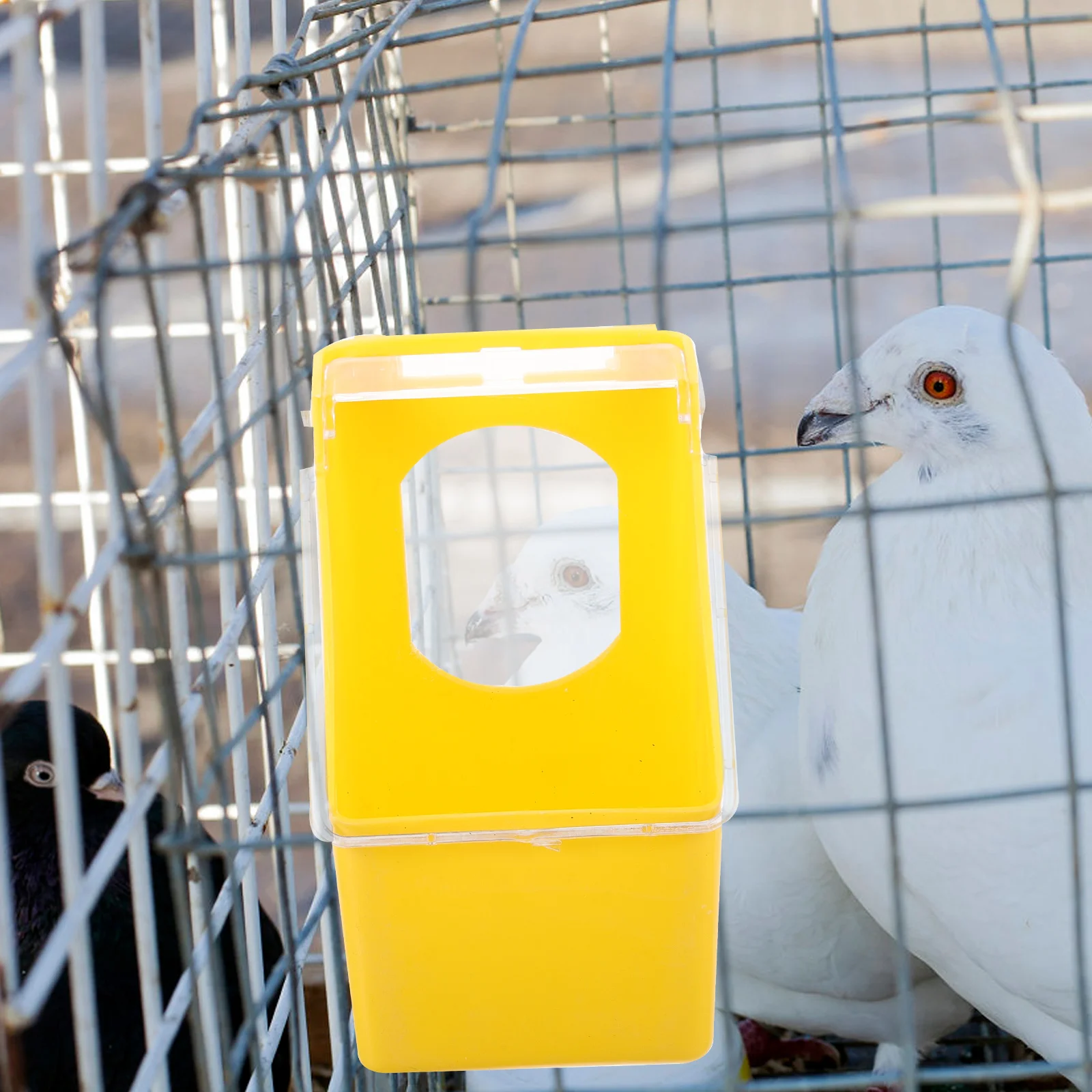 Pigeon Box Yellow Hanging Cage Feeder Large Capacity Bird Water Dispenser Parrot Dish Multi Function Pet Supplies Food
Pigeon Box Yellow Hanging Cage Feeder Large Capacity Bird Water Dispenser Parrot Dish Multi Function Pet Supplies Food