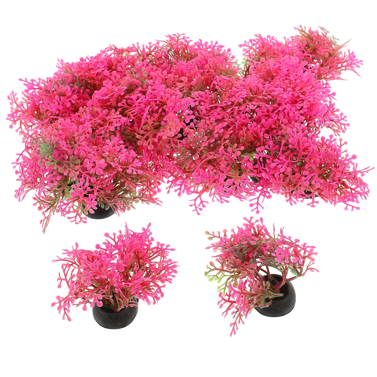 20 Pcs Plant Aquatic Decoration Fish Tank Aquarium Decorations Fake Plants Betta Ornament
20 Pcs Plant Aquatic Decoration Fish Tank Aquarium Decorations Fake Plants Betta Ornament