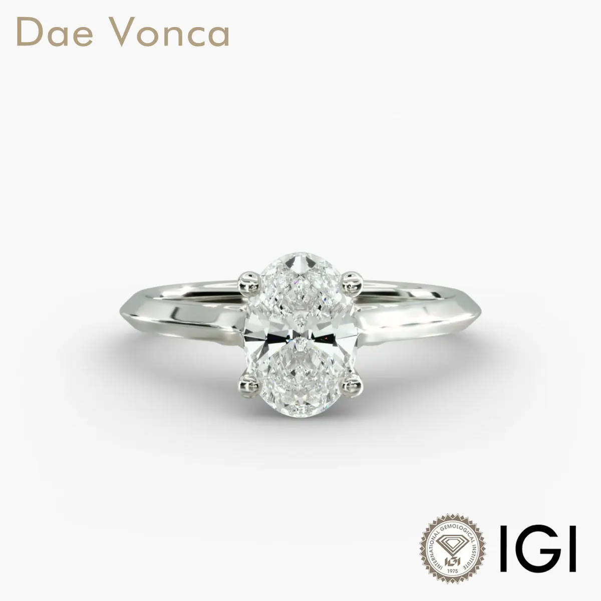Solitaire Plus Diamond Engagement Ring Oval Cut Lab Grown Diamond PT950/14K/18K White Gold 0.5-2.0ct IGI Genuine Diamond Ring
Solitaire Plus Diamond Engagement Ring Oval Cut Lab Grown Diamond PT950/14K/18K White Gold 0.5-2.0ct IGI Genuine Diamond Ring