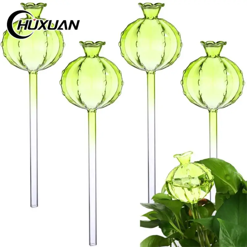 4PCS Cactus Watering Device Glass Watering Device Transparent Home Garden Drip Irrigation Flower Plant Lazy Watering Glass
4PCS Cactus Watering Device Glass Watering Device Transparent Home Garden Drip Irrigation Flower Plant Lazy Watering Glass