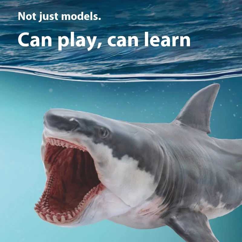 New Giant Toothed Shark Barton Dinosaur King Growth Companion Boutique Model 15 Handmade Desktop Decoration Festival Gift
New Giant Toothed Shark Barton Dinosaur King Growth Companion Boutique Model 15 Handmade Desktop Decoration Festival Gift