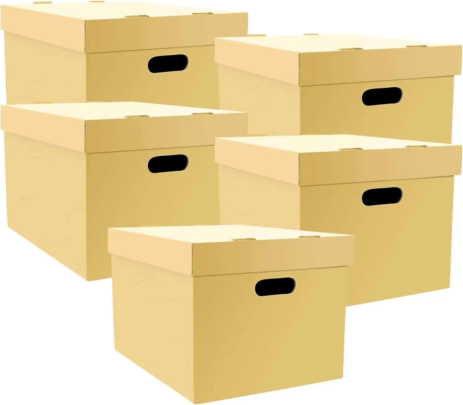 Storage Cartons for Documents or Photos, Ready-To-Assemble, 12x15x10 Inch, Pack of 5
Storage Cartons for Documents or Photos, Ready-To-Assemble, 12x15x10 Inch, Pack of 5